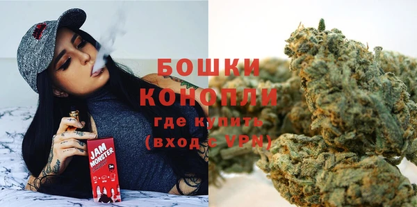 твердый Бородино