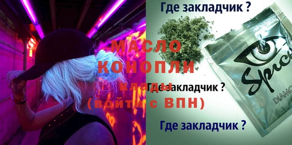 крисы Бронницы
