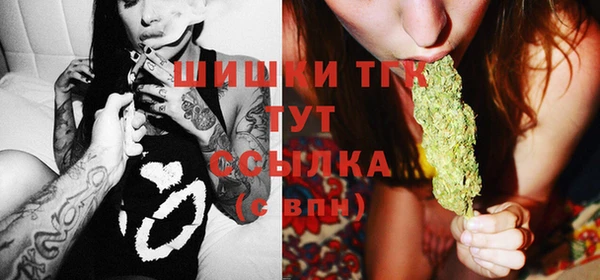 крисы Бронницы