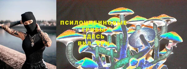 крисы Бронницы