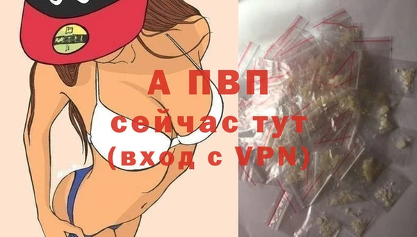 крисы Бронницы