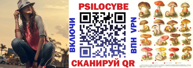 Галлюциногенные грибы Cubensis  Егорьевск 